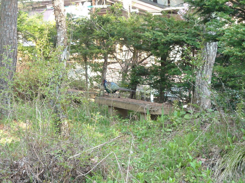 Hida Gasshoen 다카야마 외부 사진